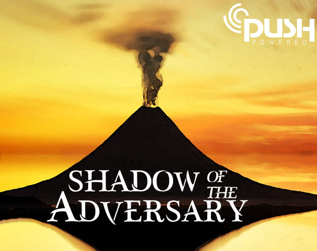 Cover image for Shadow of the Adversary