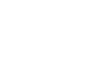 Particle Simulator