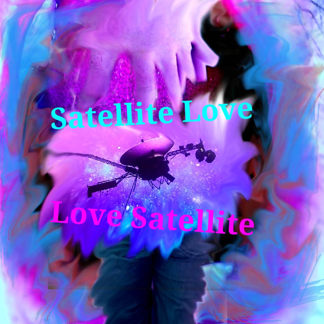 Cover image for Satellite Love Love Satellite