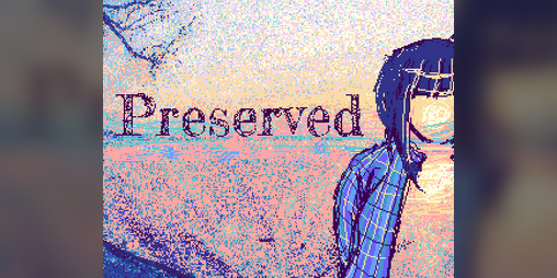 Cover image for POV: Preserved