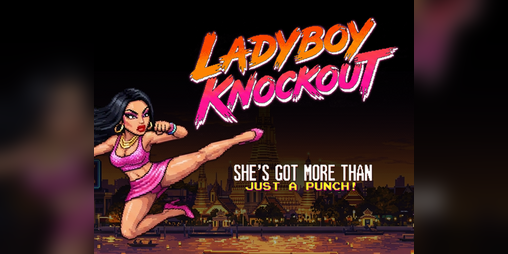 Cover image for Ladyboy Knockout