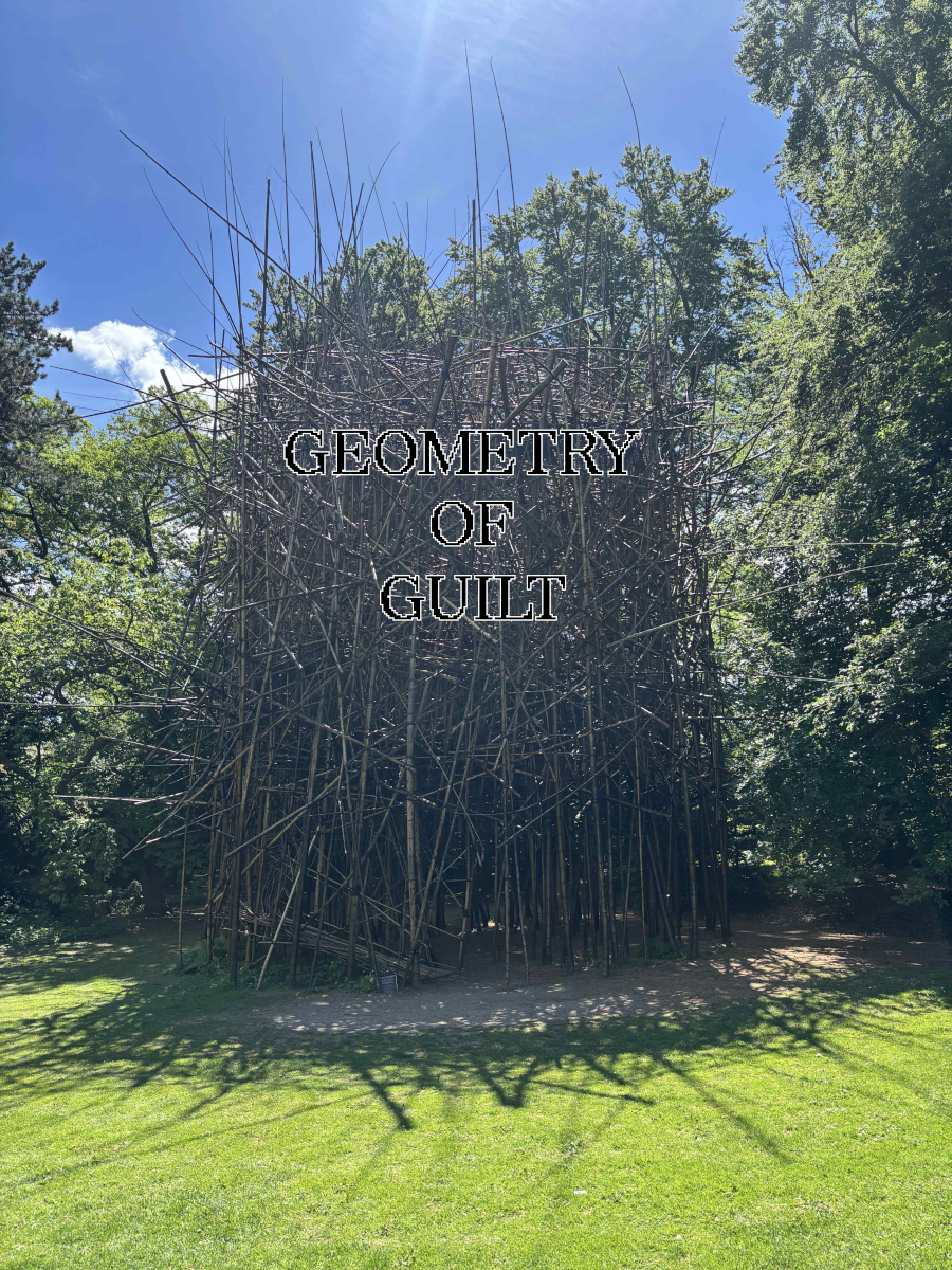 Cover image for Geometry of Guilt