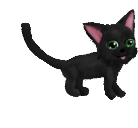 Magnus the cat's idle cycle