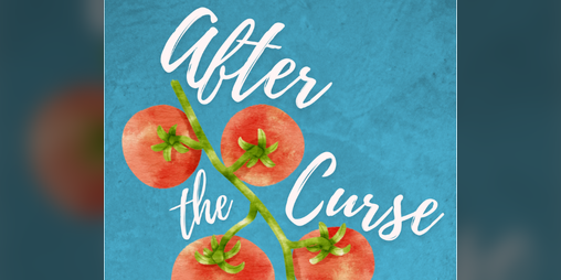 Cover image for After the Curse