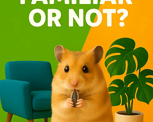 FAMILIAR OR NOT? cover