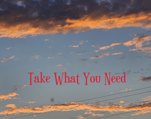 Cover image for Take What You Need