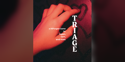 Cover image for Triage