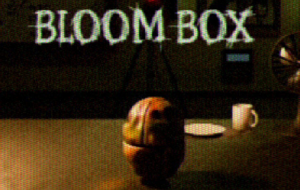 Cover image for Bloom Box