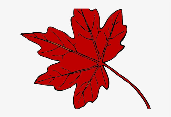 The Red Leaf 