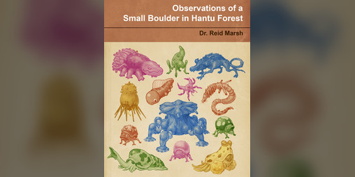 Cover image for Observations of a Small Boulder in Hantu Forest