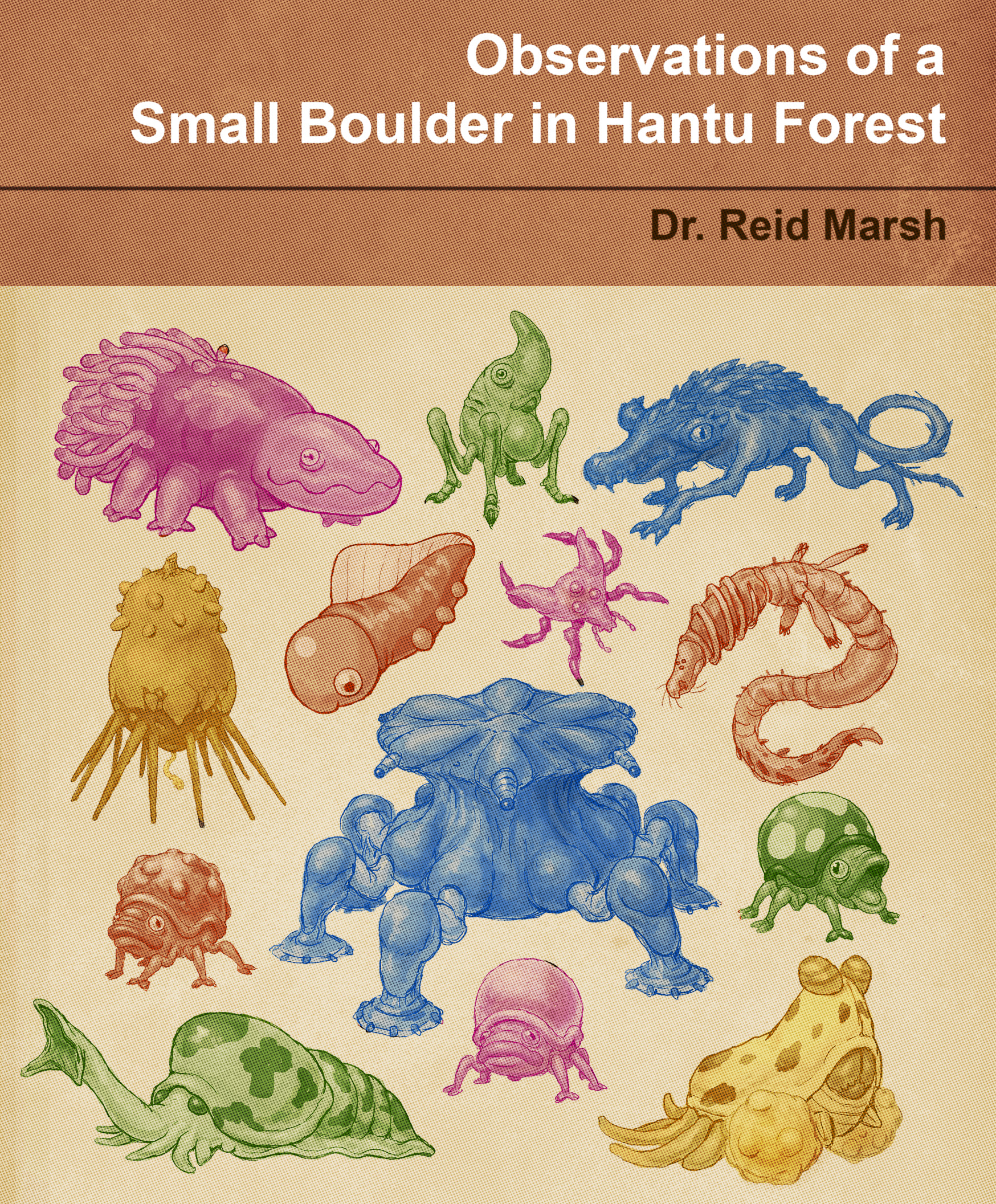 Cover image for Observations of a Small Boulder in Hantu Forest