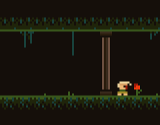 Cover image for Sewer Collector