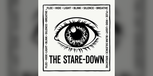 Cover image for THE STARE-DOWN