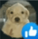 Noodle von Squiggles likes this