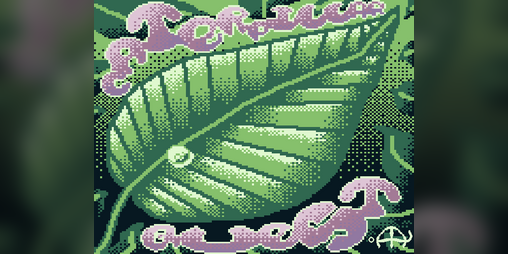 Cover image for Caterpillar Quest