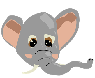 Fanta the Elephant