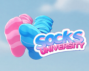Socks University cover