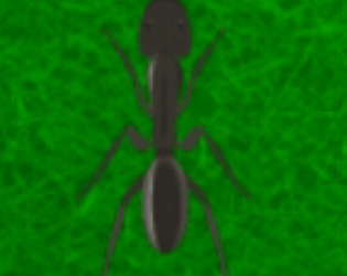 Simulador de formiga