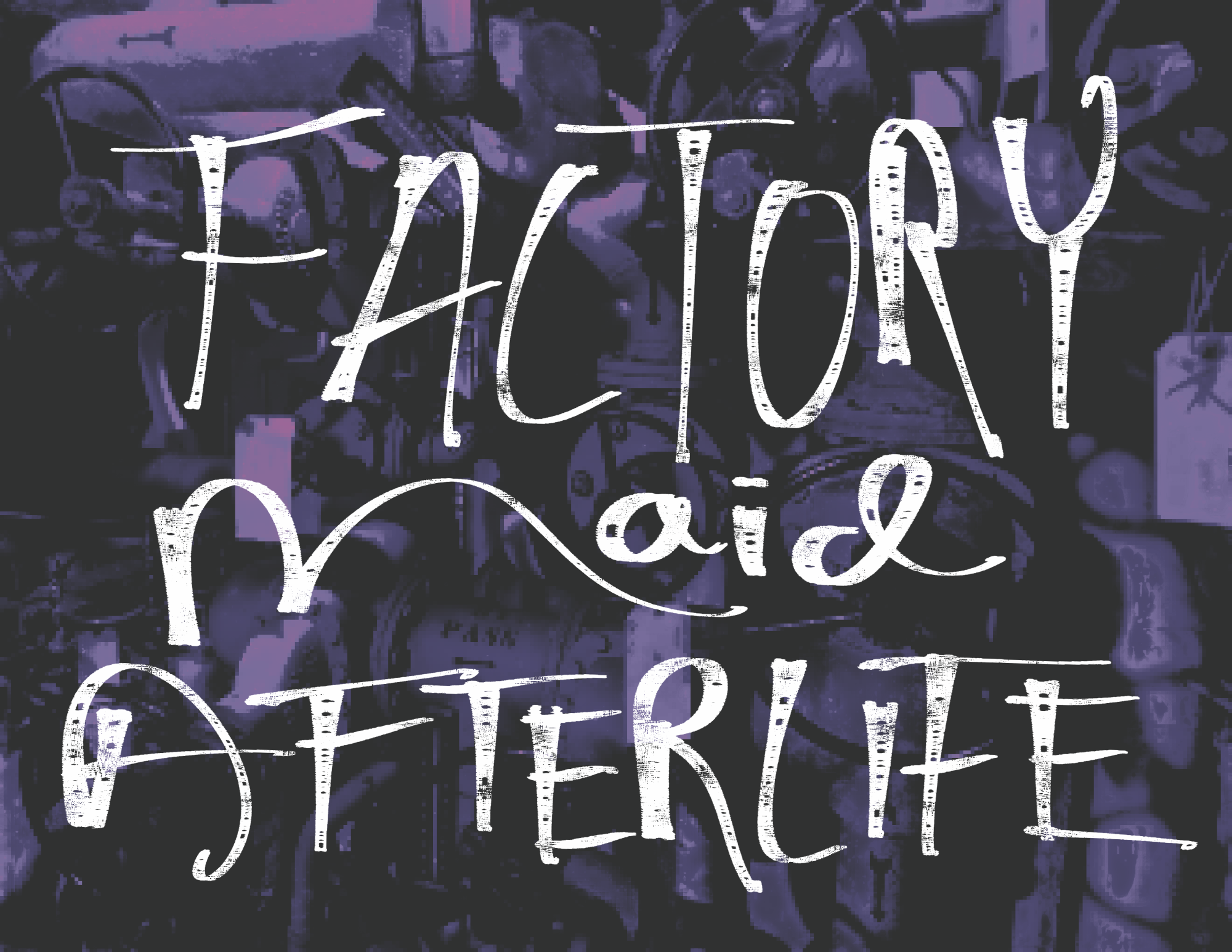 Cover image for factorymaidafterlife