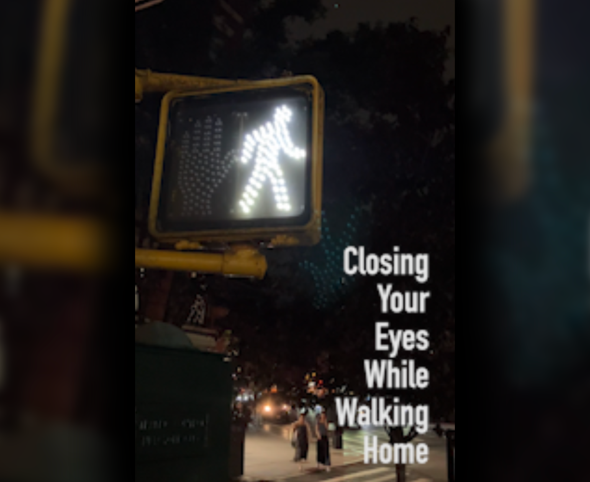 Cover image for Closing Your Eyes While Walking Home