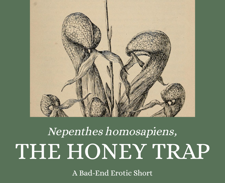 Cover image for Nepenthes homosapiens, The Honey Trap