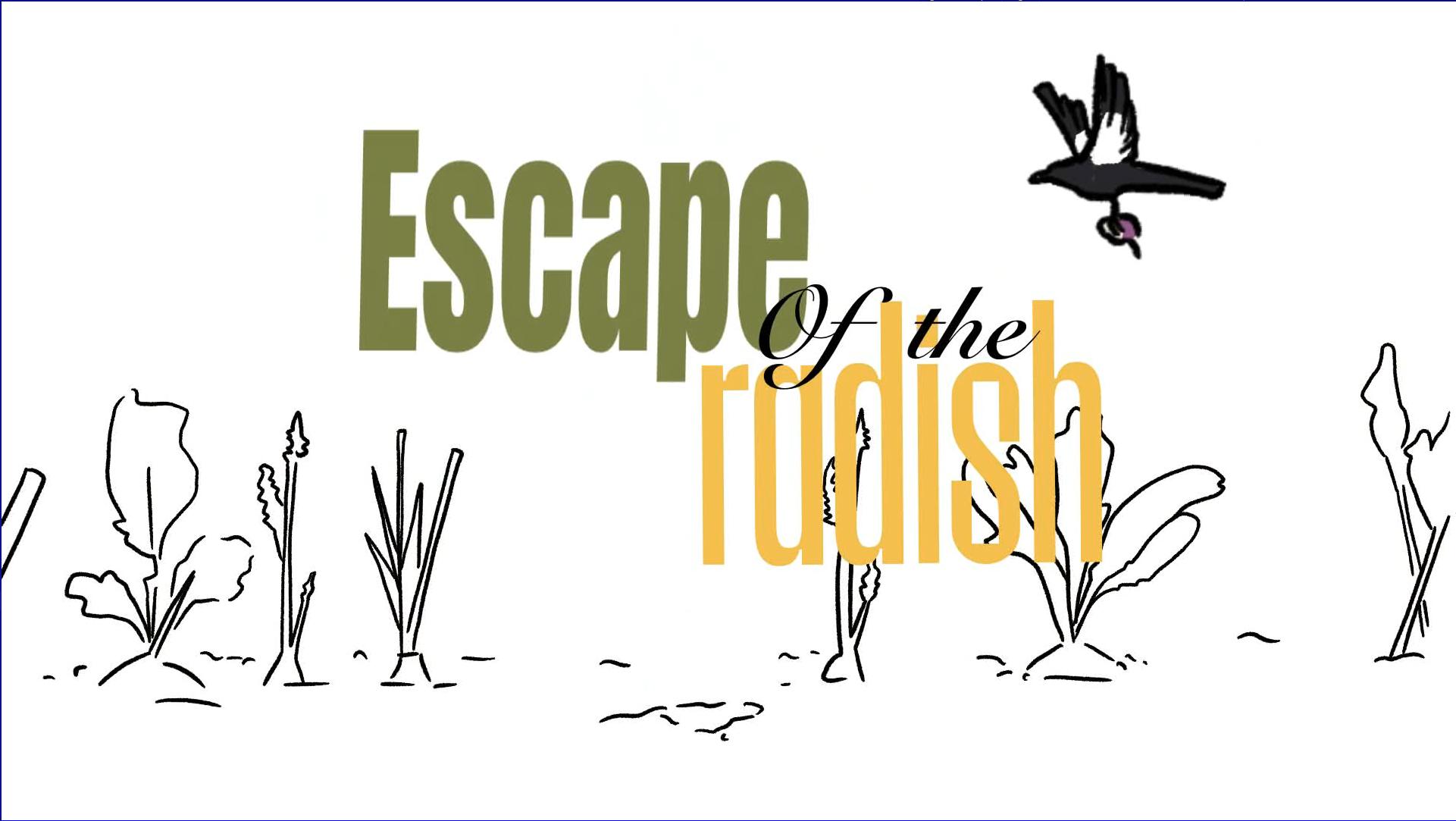 Escape of the Radish