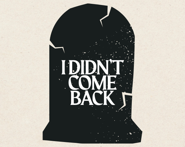Cover image for I Didn't Come Back