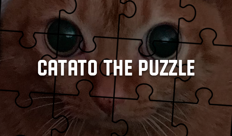 Cover image for Catato The Puzzle