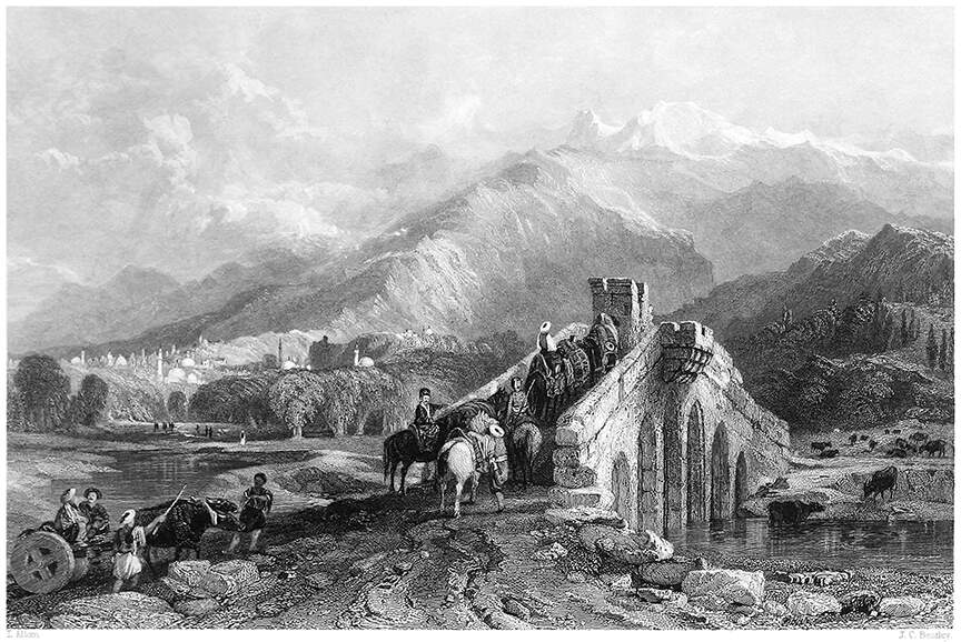 Cover image for The Goats Of The Herder Ali Baba