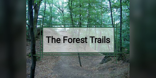 Cover image for The Forest Trails