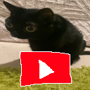 Yo bien yutubereoso