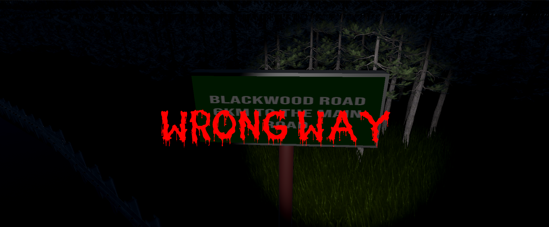Cover image for Wrong Way