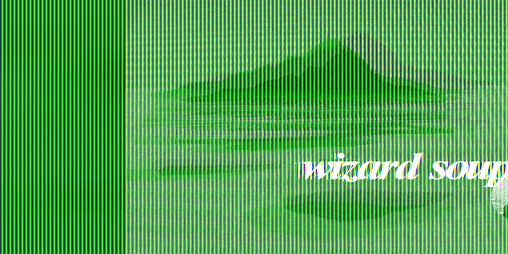 Cover image for Wizard Soup