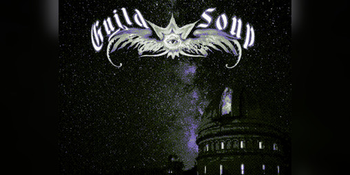 Cover image for Guild Soup