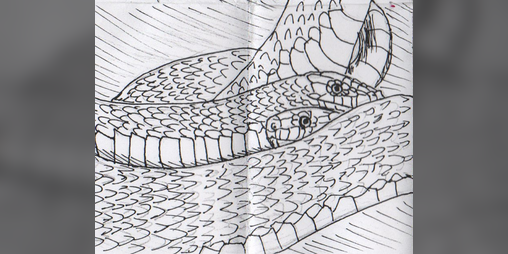 Cover image for Only Snakes
