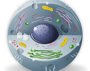 Petri Dish Simulator