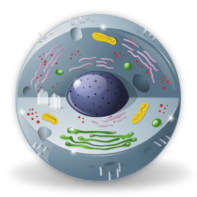 Cover image for Petri Dish Simulator