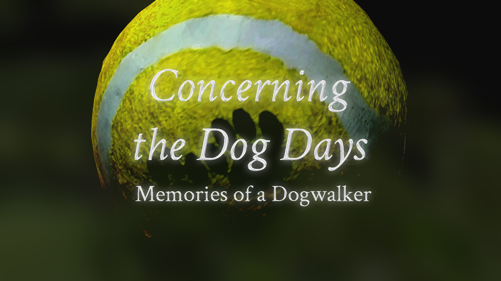 Cover image for Concerning the Dog Days: Memories of a Dogwalker