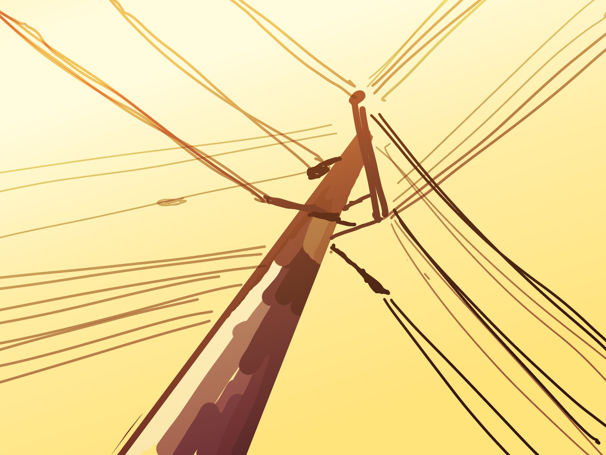 Cover image for Reno