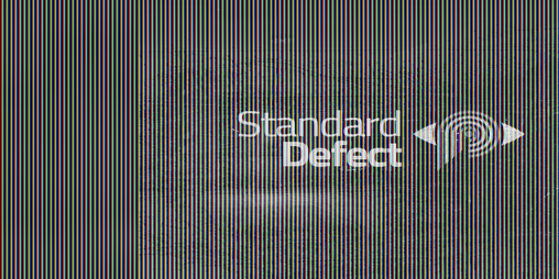 Cover image for Standard Defect