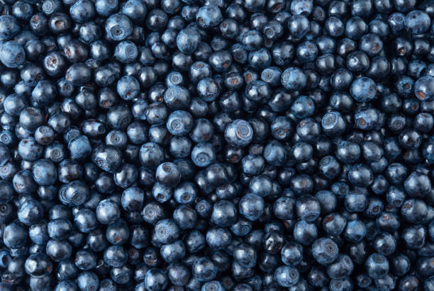 BERRY TAGGERS EA v1