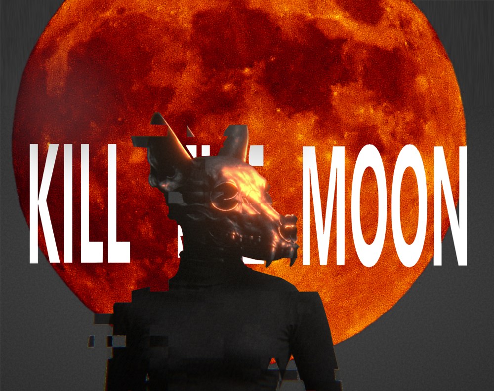 Cover image for Kill the Moon