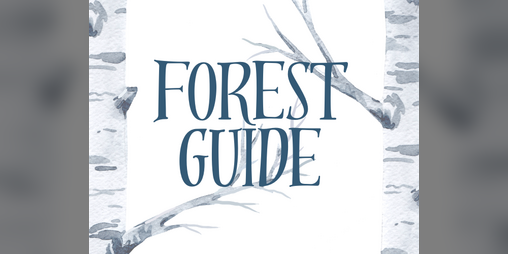 Cover image for Forest Guide