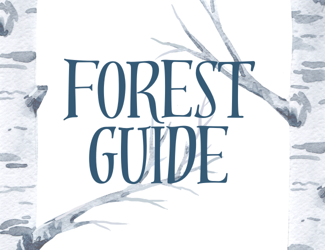 Cover image for Forest Guide