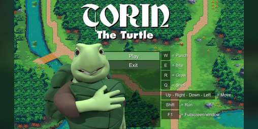 Cover image for Torin the Turtle