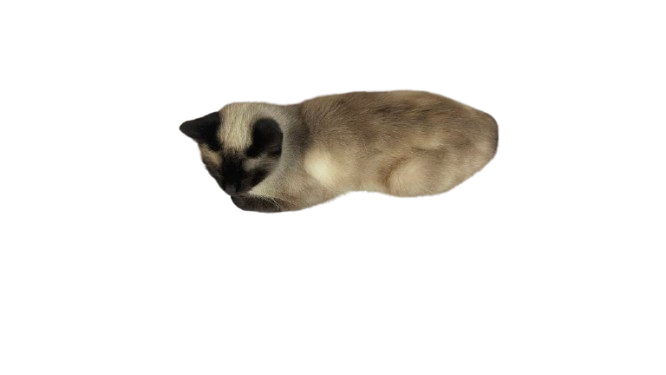 CAT CLIKER HORROR