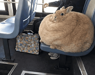 TOKKi [Free] [Other]