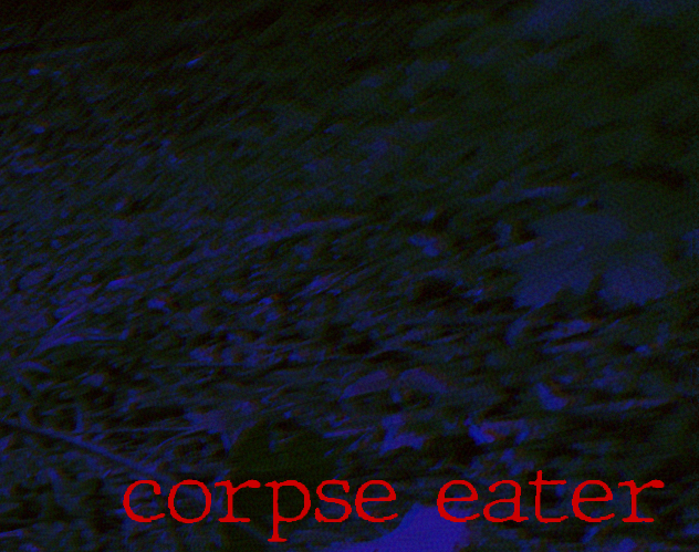 Cover image for corpse eater