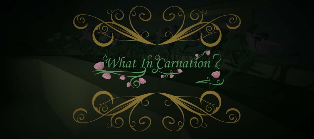 What in Carnation?