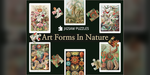 Cover image for Art Forms in Nature: Jigsaw Puzzles